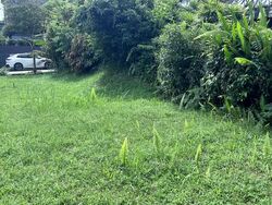Chancery Lane (D11), Detached #572652771
